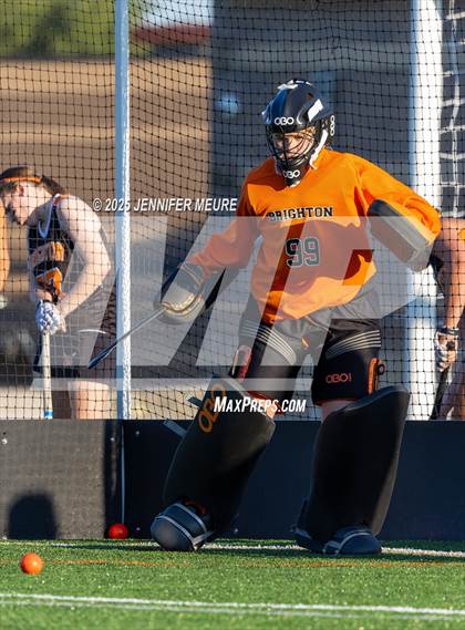 Thumbnail 1 in Novi @ Brighton photogallery.