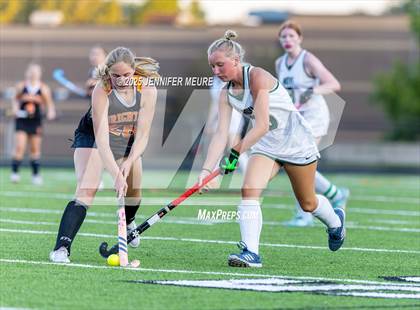 Thumbnail 3 in Novi @ Brighton photogallery.