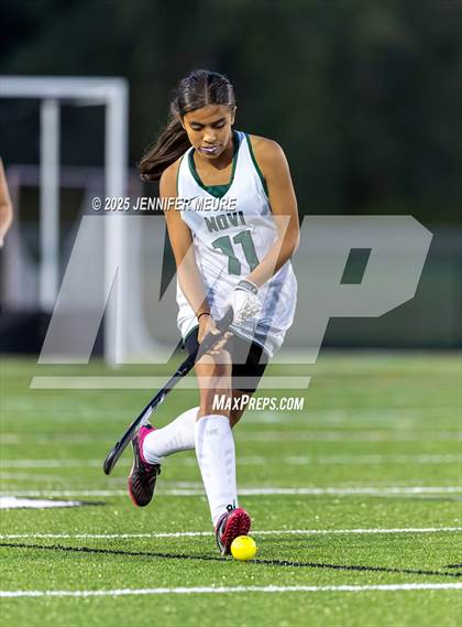 Thumbnail 3 in Novi @ Brighton photogallery.