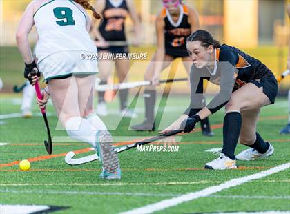 Thumbnail 2 in Novi @ Brighton photogallery.