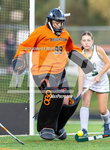 Thumbnail 3 in Novi @ Brighton photogallery.