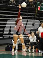 Photo from the gallery "Northridge vs. Viewmont (UHSAA 5A Second Round)"