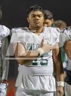 Photo from the gallery "Palo Alto @ St. Vincent de Paul (CIF NCS D6-AA Regional Finals)"