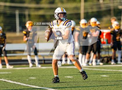 Thumbnail 3 in Cooper @ Campbell County photogallery.