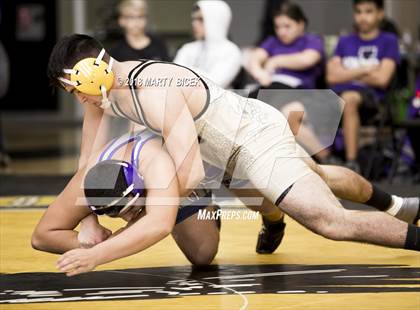 Thumbnail 1 in Johansen @ Enochs photogallery.