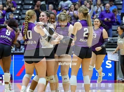 Thumbnail 3 in Harrold vs. Bronte (UIL 1A Volleyball Semifinal) photogallery.