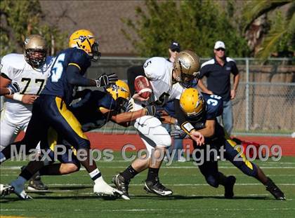 Thumbnail 1 in Alameda @ Ygnacio Valley (CIF NCS D2 Playoffs) photogallery.
