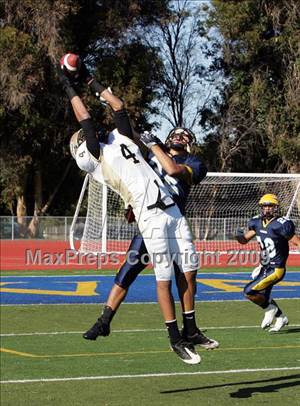 Sunday, Nov 22, 2009
