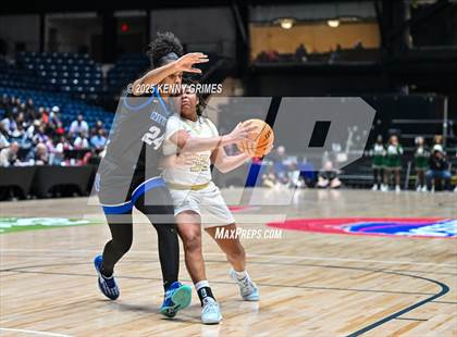 Thumbnail 3 in Newton vs. Grayson GHSA 6A Championship) photogallery.
