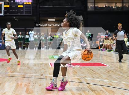Thumbnail 1 in Newton vs. Grayson GHSA 6A Championship) photogallery.