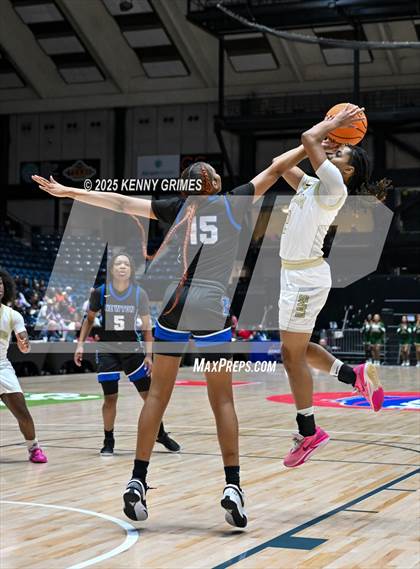 Thumbnail 2 in Newton vs. Grayson GHSA 6A Championship) photogallery.