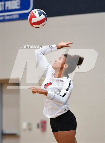 Thumbnail 1 in Lovejoy @ Wylie East photogallery.