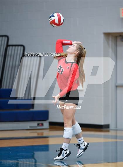 Thumbnail 2 in Lovejoy @ Wylie East photogallery.
