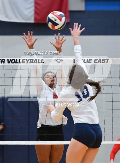 Thumbnail 1 in Lovejoy @ Wylie East photogallery.