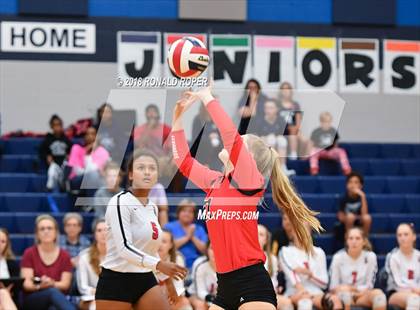 Thumbnail 1 in Lovejoy @ Wylie East photogallery.