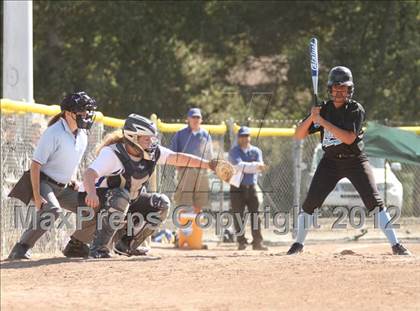 Thumbnail 2 in Terra Linda vs. Hercules (CIF NCS D3 Playoffs) photogallery.