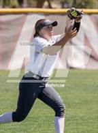 Photo from the gallery "Cienega vs. Hamilton"