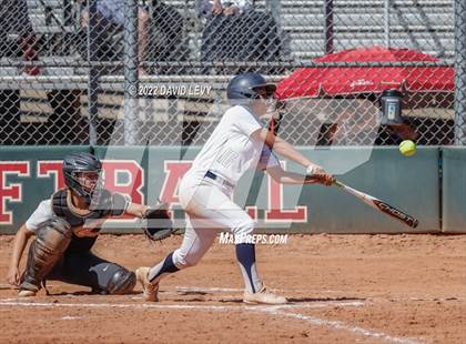 Thumbnail 2 in Cienega vs. Hamilton photogallery.