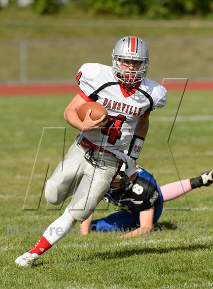 Thumbnail 1 in Dansville @ Haverling photogallery.