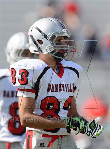 Thumbnail 1 in Dansville @ Haverling photogallery.