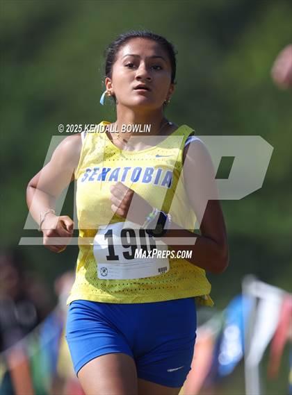Thumbnail 3 in South Panola XC Opener photogallery.