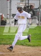 Photo from the gallery "Wilson @ Muir"