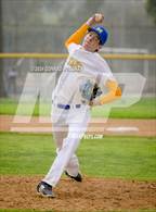 Photo from the gallery "Wilson @ Muir"