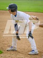 Photo from the gallery "Wilson @ Muir"