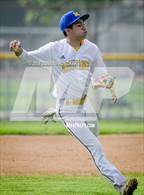 Photo from the gallery "Wilson @ Muir"