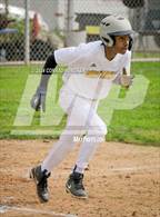 Photo from the gallery "Wilson @ Muir"