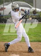 Photo from the gallery "Wilson @ Muir"