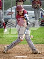 Photo from the gallery "Wilson @ Muir"