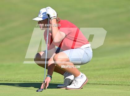 Thumbnail 1 in AIA DII Championships photogallery.