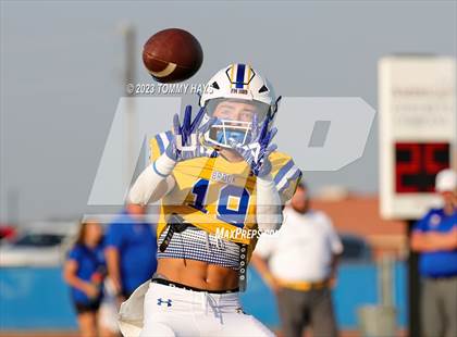 Thumbnail 1 in Hirschi @ Brock photogallery.