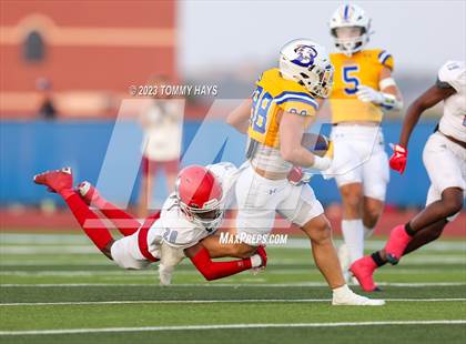 Thumbnail 1 in Hirschi @ Brock photogallery.