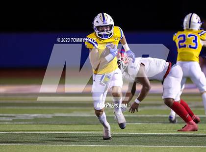 Thumbnail 1 in Hirschi @ Brock photogallery.