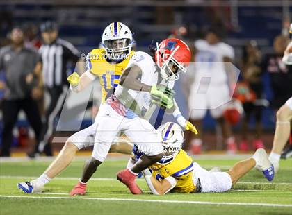 Thumbnail 1 in Hirschi @ Brock photogallery.