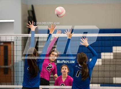 Thumbnail 1 in St. Mary's Dominican vs St. Scholastica (Penguin Volleyball Classic) photogallery.