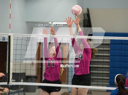Thumbnail 1 in St. Mary's Dominican vs St. Scholastica (Penguin Volleyball Classic) photogallery.