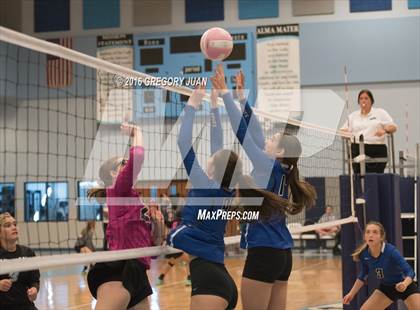 Thumbnail 1 in St. Mary's Dominican vs St. Scholastica (Penguin Volleyball Classic) photogallery.