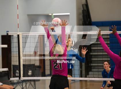 Thumbnail 3 in St. Mary's Dominican vs St. Scholastica (Penguin Volleyball Classic) photogallery.