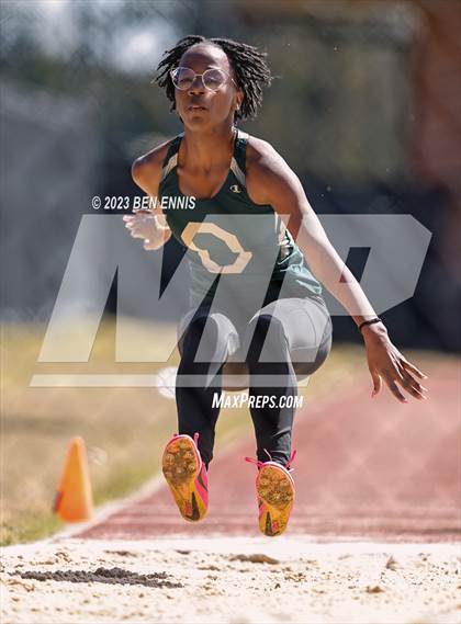 Thumbnail 1 in James Rollerson Memorial Relays (Long Jump) photogallery.