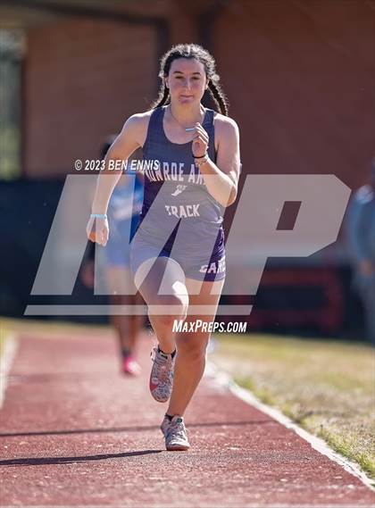 Thumbnail 2 in James Rollerson Memorial Relays (Long Jump) photogallery.