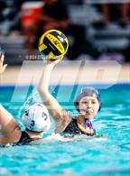 Photo from the gallery "Laguna Creek @ Franklin"