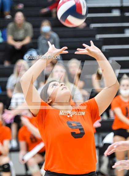 Thumbnail 1 in Argyle @ Springtown photogallery.