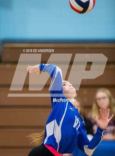 null - Photo 81