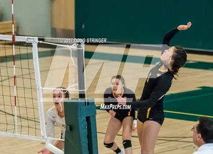 Thumbnail 3 in CCS Div2 Girls Volleyball Championship(Mountain View vs. Presentation) photogallery.