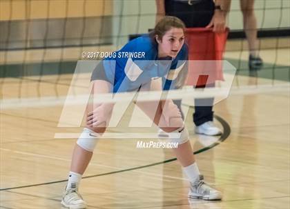 Thumbnail 3 in CCS Div2 Girls Volleyball Championship(Mountain View vs. Presentation) photogallery.
