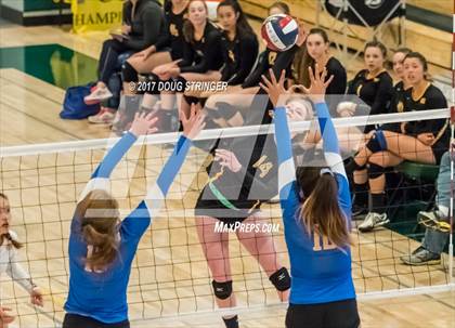 Thumbnail 3 in CCS Div2 Girls Volleyball Championship(Mountain View vs. Presentation) photogallery.