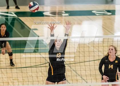 Thumbnail 1 in CCS Div2 Girls Volleyball Championship(Mountain View vs. Presentation) photogallery.
